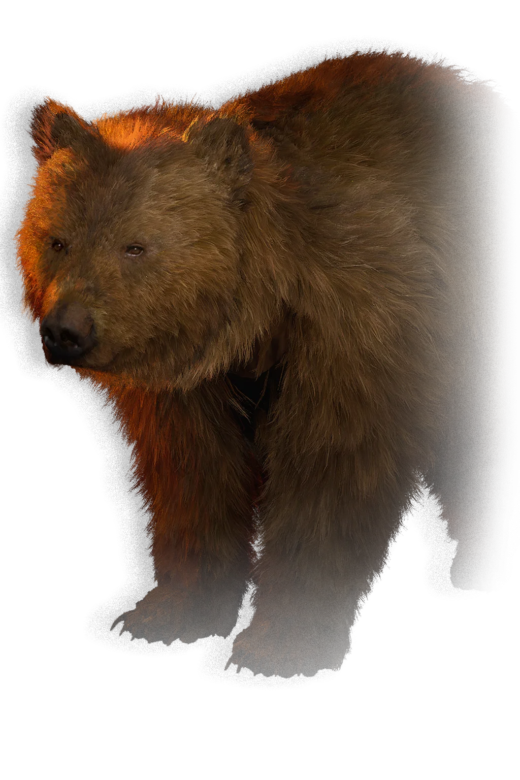 Bear - The Blood of Dawnwalker bestiary