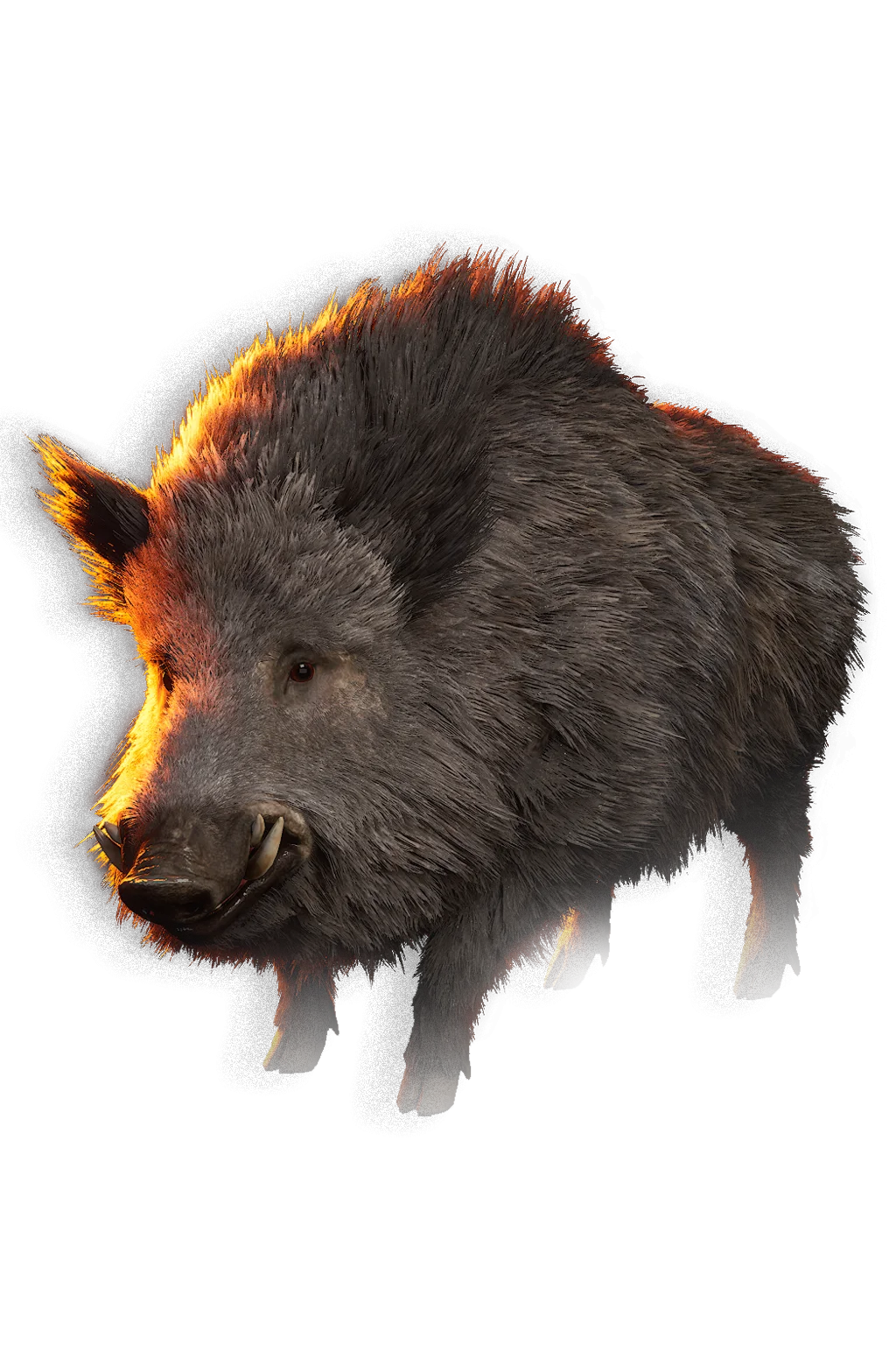 Boar - The Blood of Dawnwalker bestiary