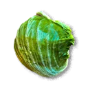 Cabbage - The Blood of Dawnwalker