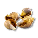 Fried Snails - The Blood of Dawnwalker