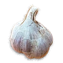 Garlic - The Blood of Dawnwalker