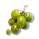 Grapes - The Blood of Dawnwalker