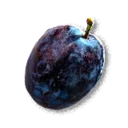 Plum - The Blood of Dawnwalker