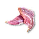 Rabbit Meat - The Blood of Dawnwalker