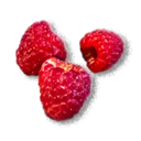 Raspberry - The Blood of Dawnwalker
