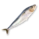 Raw Fish - The Blood of Dawnwalker