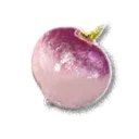 Turnip - The Blood of Dawnwalker