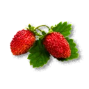 Wild Strawberry - The Blood of Dawnwalker