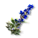 Aconite - The Blood of Dawnwalker