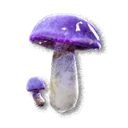 Cave Fungus - The Blood of Dawnwalker