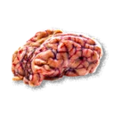 Kobold Brain - The Blood of Dawnwalker