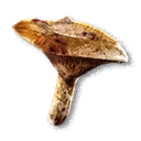 Saffron Milk Cap - The Blood of Dawnwalker