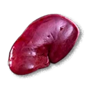 Wild Boar Kidney - The Blood of Dawnwalker