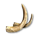 Boar Tusks - The Blood of Dawnwalker