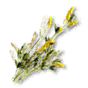 Yellow Sweet Clover - The Blood of Dawnwalker