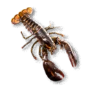 Crayfish - The Blood of Dawnwalker
