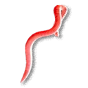 Bait Worms - The Blood of Dawnwalker