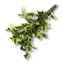 Feverfew - The Blood of Dawnwalker