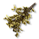 Dried Herbs - The Blood of Dawnwalker