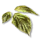 Poisonous Leaves - The Blood of Dawnwalker