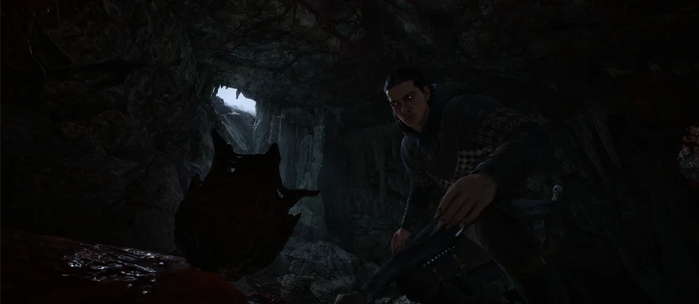Mandrake Ward - The Blood of Dawnwalker